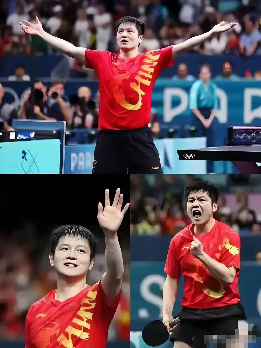 比利时乒乓球队完胜法国乒乓球队,樊振东送出助攻的简单介绍 比利时乒乓球队完胜法国乒乓球队,樊振东送出助攻的简单介绍