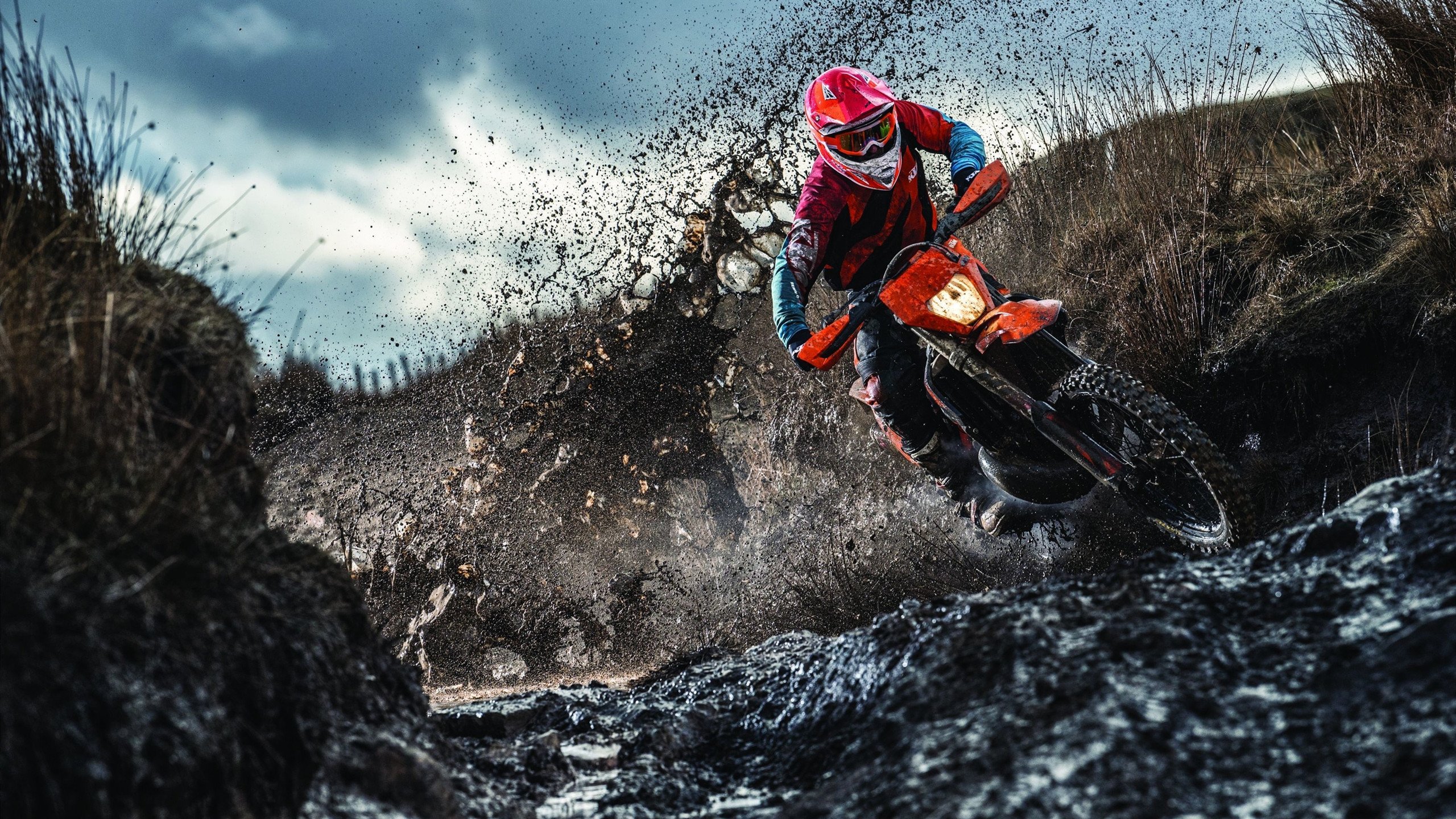 双线奇迹，法兰西绿茵逆转与东方羽球高光